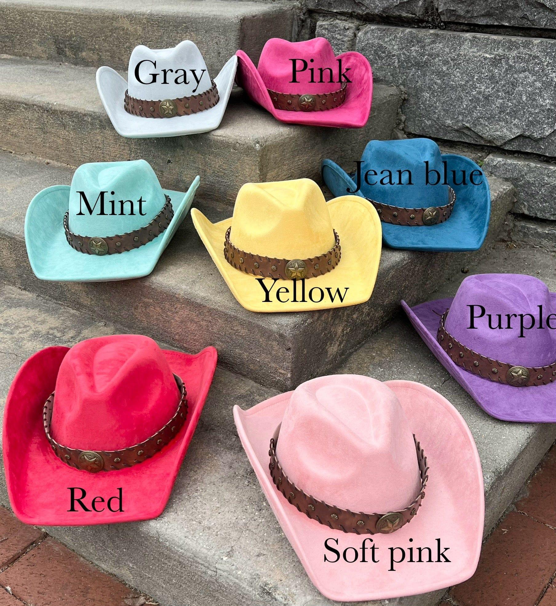 Starlight Suede Cowboy Hat-3